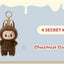 POP MART blind box vinyl figure, sealed mystery packaging, product photo for collectors in NZ
