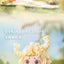 Heyone Fur Fur Today Mood Sunny Series Blind Box Collectible Figures