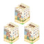 ANMOO Listen Attentively Series Blind Box Collectible Figures