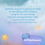 FUNISM Enjoy the Moments Beach Series Blind Box Figures
