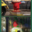POP MART Labubu The Monsters Almost Hidden Blind Box Figure (Pre-Order)