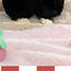 KOKOYA Sweet Story Series Blind Box Collectible Figures