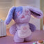 ShinWoo – Ragbear Linic Series Blind Box Figure