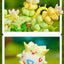 KEEPPLEY Pokémon Bonsai Series Building Blocks