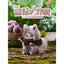 TimeShare Cino Fairy Tale Battle Plush Blind Box – Kawaii Anime Figure Collectible