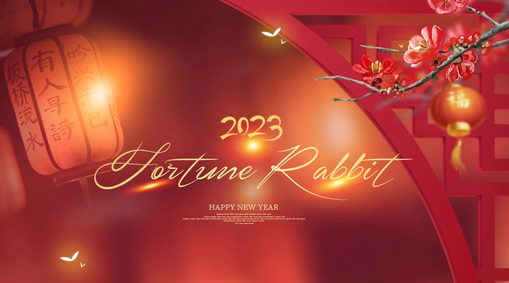 DBS DREAM FAIRY Doll 1/6 BJD Name By Fortune Rabbit Mechanical Joint box art view