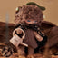 New Super Energy Factory Echo Forest Whisper Series Blind Box Plush Collectible Toy