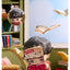 POP MART DIMOO The Missing Day Series Blind Box Figures