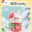 Suplay Hey Dolls Wish Knot Series Blind Box Figures
