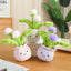 Cute Stuffed Plush Plant Toy Interesting Dandelion Plush box art view