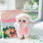 nan blind box vinyl figure, sealed mystery packaging, product photo for collectors in NZ