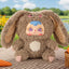 Samuel 500% Hairy Rabbit Family Plush Blind Box Collectible