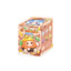 Kimmon Ochichi Follow The Light Series Plush Blind Box Collectible Doll