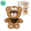 Rolife Nanci Chocolate Colorful Plush Bear Series Blind Box Figure