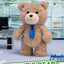 POP MART Ted2 Teddy Bear Action Plush Pendant Blind Box