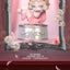 DODO RARA The Protagonist of Your Story Series Blind Box Collectible Figures