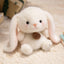 Cute Sitting Animals Plush – Red Panda, Fox, Sloth, Cat, Capybara & Pig