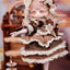 KISEKI – Vintage Treasures Series Ob11 1/12 BJD Blind Box Vinyl Figure