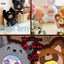 MIGO Fairy Tale Secret Series Blind Box Plush Collectible