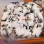 Yooki Hopping Bunny Series Blind Box Vinyl Plush Collectible