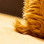 Highland Cow Plush collector view