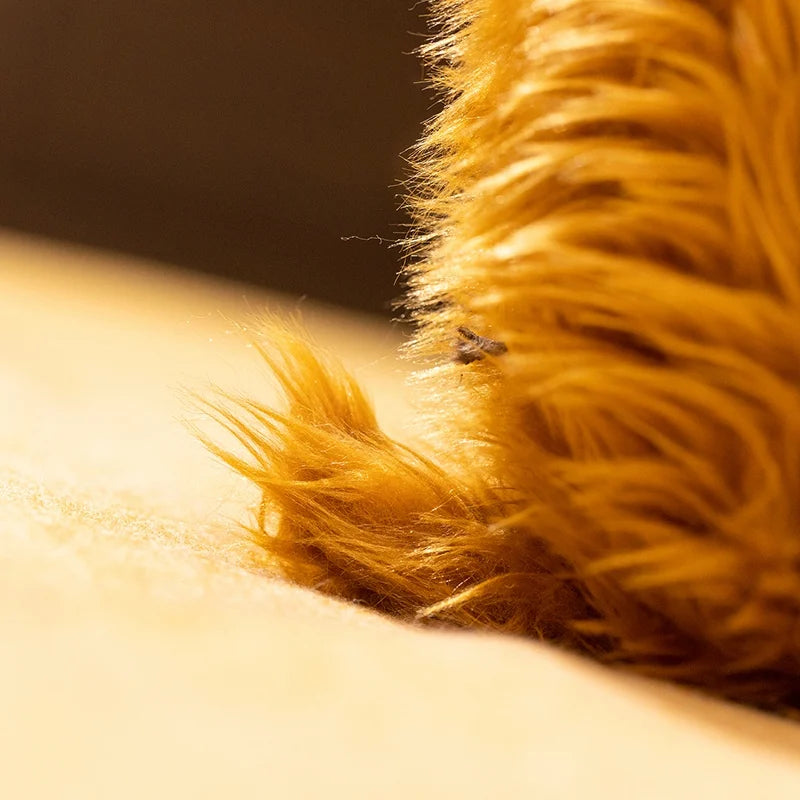 Highland Cow Plush collector view