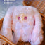 Yooki Hopping Bunny Series Blind Box Vinyl Plush Collectible