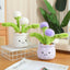 Cute Stuffed Plush Plant Toy Interesting Dandelion Plush display view