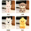 Cute Sitting Animals Plush – Red Panda, Fox, Sloth, Cat, Capybara & Pig