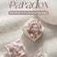 POP MART SKULLPANDA The Paradox Series Fridge Magnet Blind Box