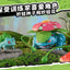 nan product photo for collectors in NZ — product detail image for NZ collectors