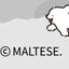 Maltese Guess Who I Am Blind Box Figures