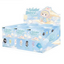 Nommi Weather Forecast Series Blind Box Figures