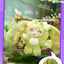 MAYTREE DUMIA Beast Story Vinyl Plush Blind Box