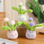 Cute Stuffed Plush Plant Toy Interesting Dandelion Plush packaging view
