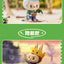 POP MART blind box vinyl figure, sealed mystery packaging, product photo for collectors in NZ