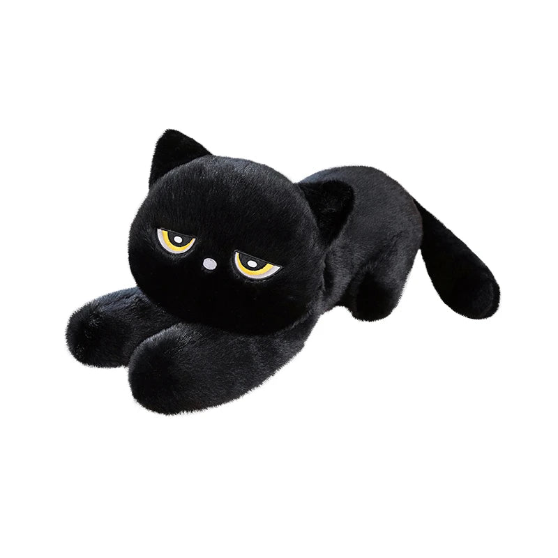 Cute Half Round Eyed Black Cat Plush collector view