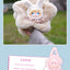 Maytree Dumia Aria Snow Trail Secret Words Blind Box Plush Figures