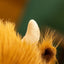 Highland Cow Plush image 9