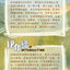 ANMOO Listen Attentively Series Blind Box Collectible Figures