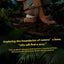 52TOYS NOOK 300% Limited Edition Cardboard Dino Figure