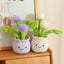 Cute Stuffed Plush Plant Toy Interesting Dandelion Plush detail view