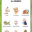 POP MART Zsiga Take It Slow Series Figures 1PC/12PCS Blind Box POPMART