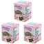 OONA All Pink Day Series Blind Box Collectible Figures