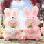 Gee Gee PIG It Was A Pig Series Plush Doll Collectible Toy