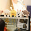 Cute Sitting Animals Plush – Red Panda, Fox, Sloth, Cat, Capybara & Pig