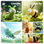 Cute Cartoon Insect Plush Toy Collection – Caterpillar, Firefly, Dragonfly, Mosquito, Cockroach